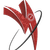 Indo D4