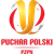 Polish Cup